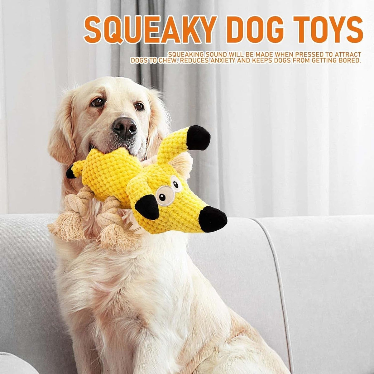The Ultimate Guide to Choosing the Right Pet Toys