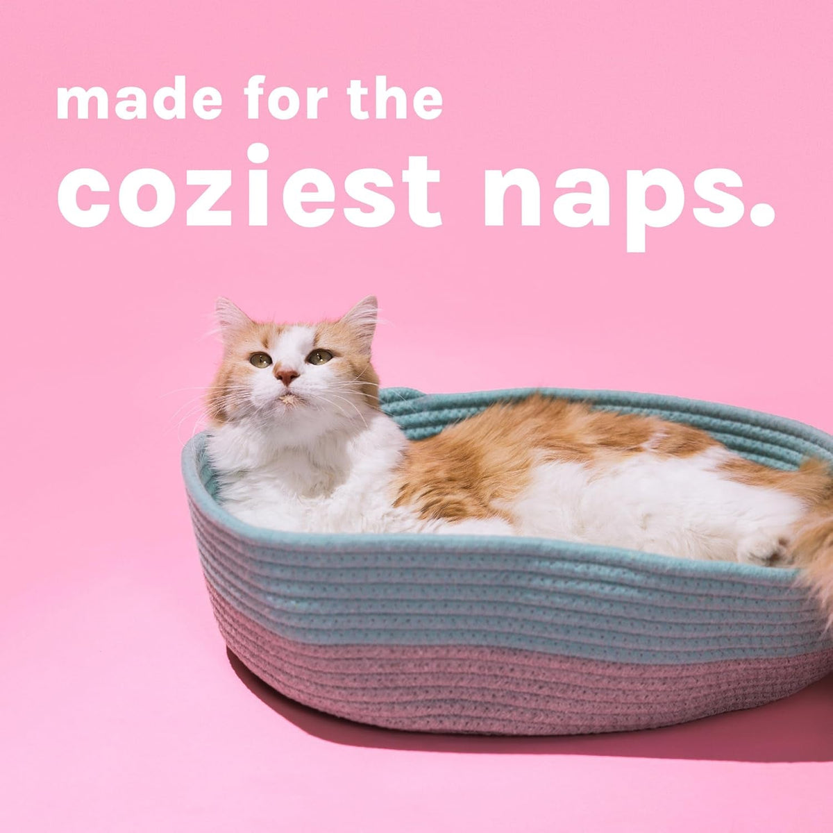 Cat bed