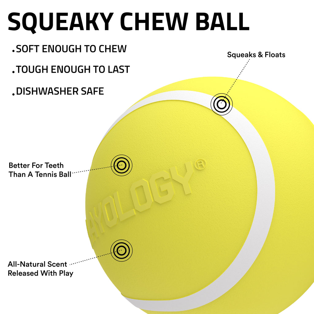 Dog Toys | Squeaky Chew Ball, Chicken Scented Toy - Jumbo