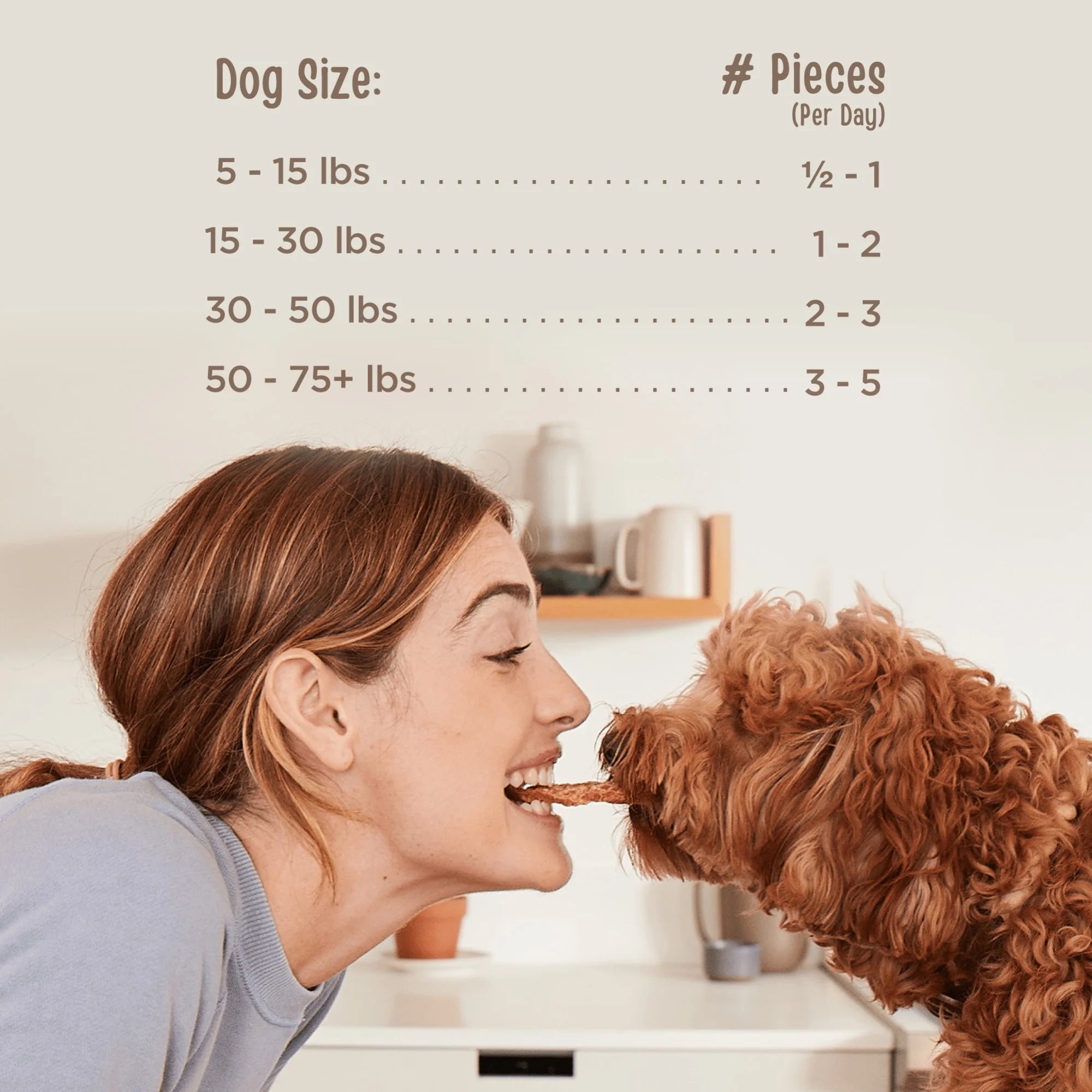 All Natural Human Grade Dog Treats, Essential Duck Jerky Tenders, 22 Ounce, Dry