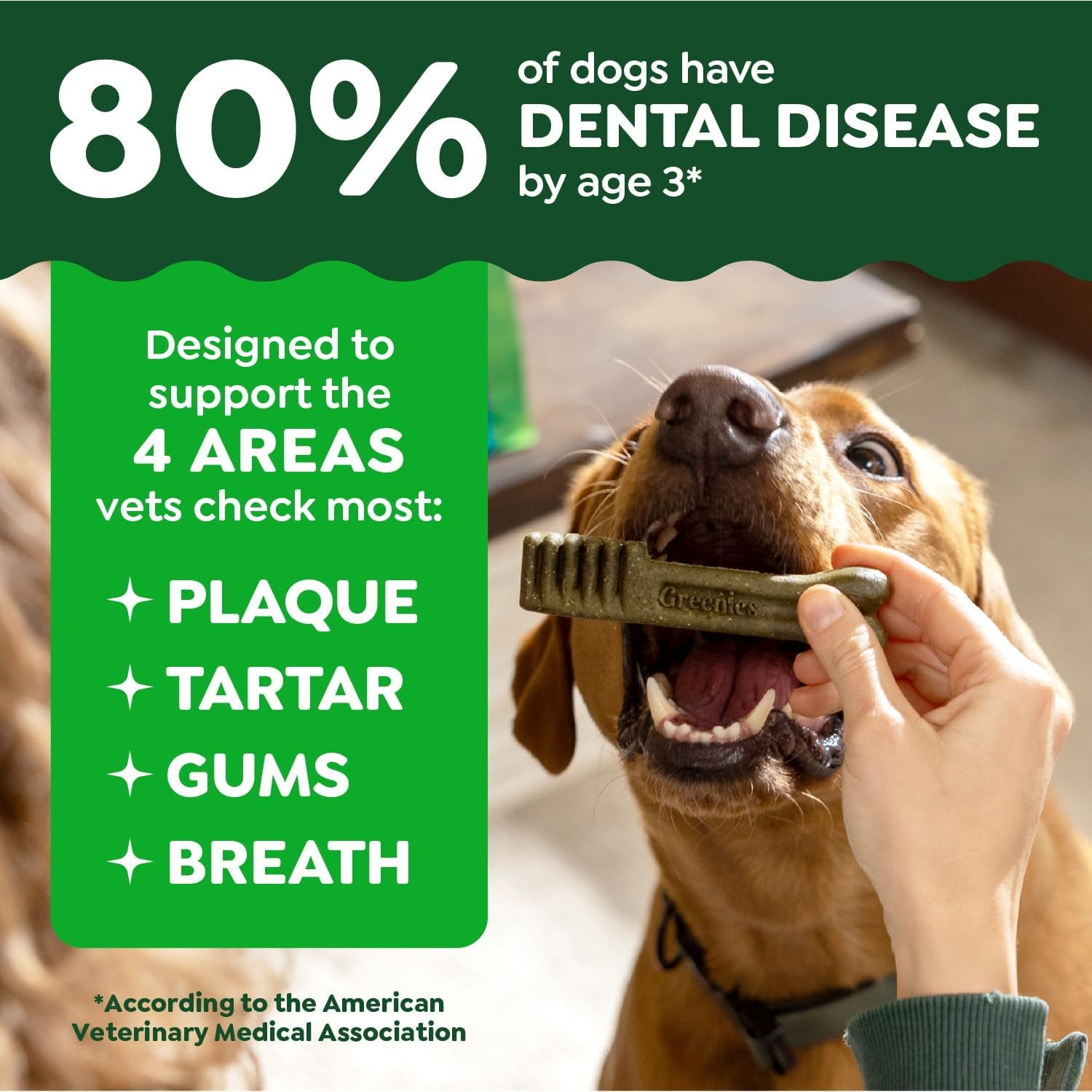 Veterinarian-Recommended Adult Natural Dental Dog Treats Petite Size, Dog Dental Chews, Original Flavor, 36 Oz. Pack, 60 Count