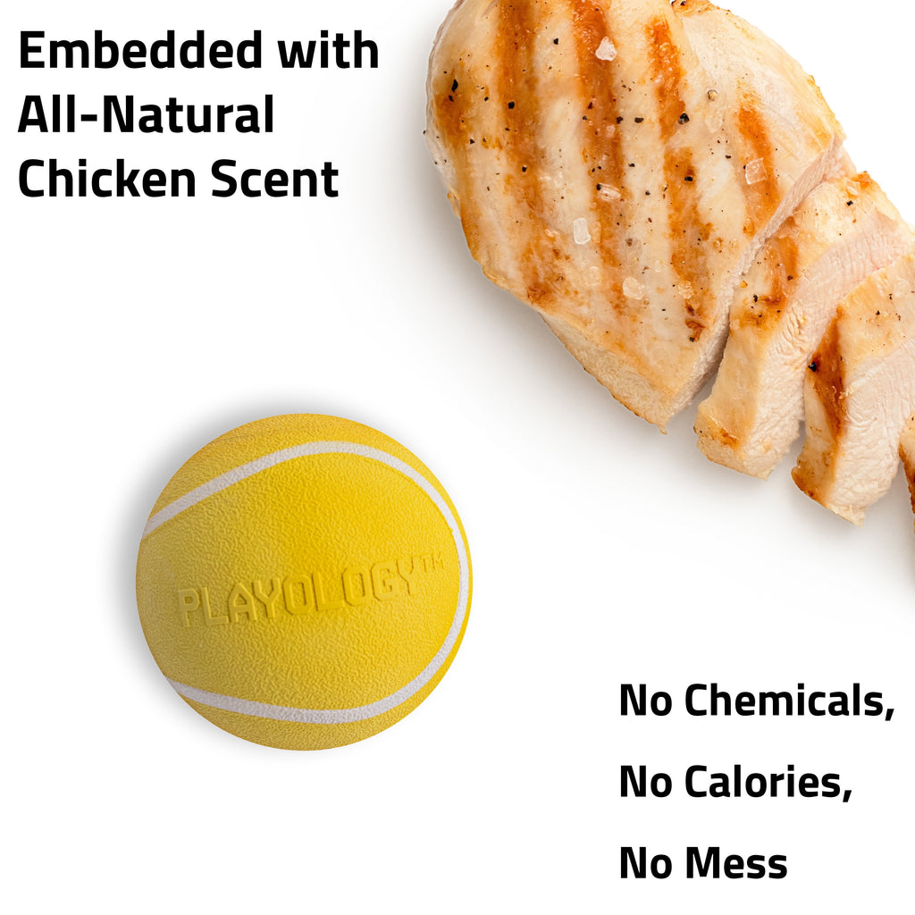 Dog Toys | Squeaky Chew Ball, Chicken Scented Toy - Jumbo