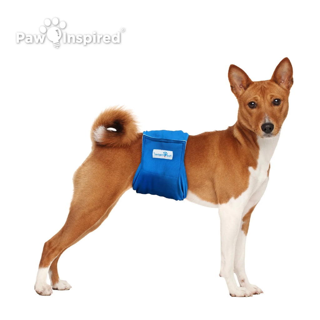 Reusable Male Dog Diapers, Washable Belly Bands for Male Dogs, Dog Wraps for Incontinence (Medium (3Ct), Assorted (Black Lining))