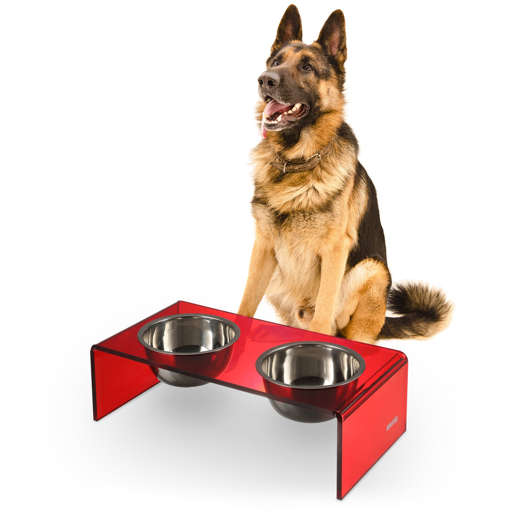 Keaton 7.5" Medium/Large Modern Acrylic Rectangular Elevated Pet Feeder with 54Oz 2-Stainless Steel Bowls, Red/Chrome, DBL2001H
