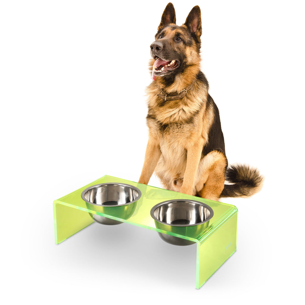 Keaton 7.5" Medium/Large Modern Acrylic Rectangular Elevated Pet Feeder with 54Oz 2-Stainless Steel Bowls, Green/Chrome, DBL2001G