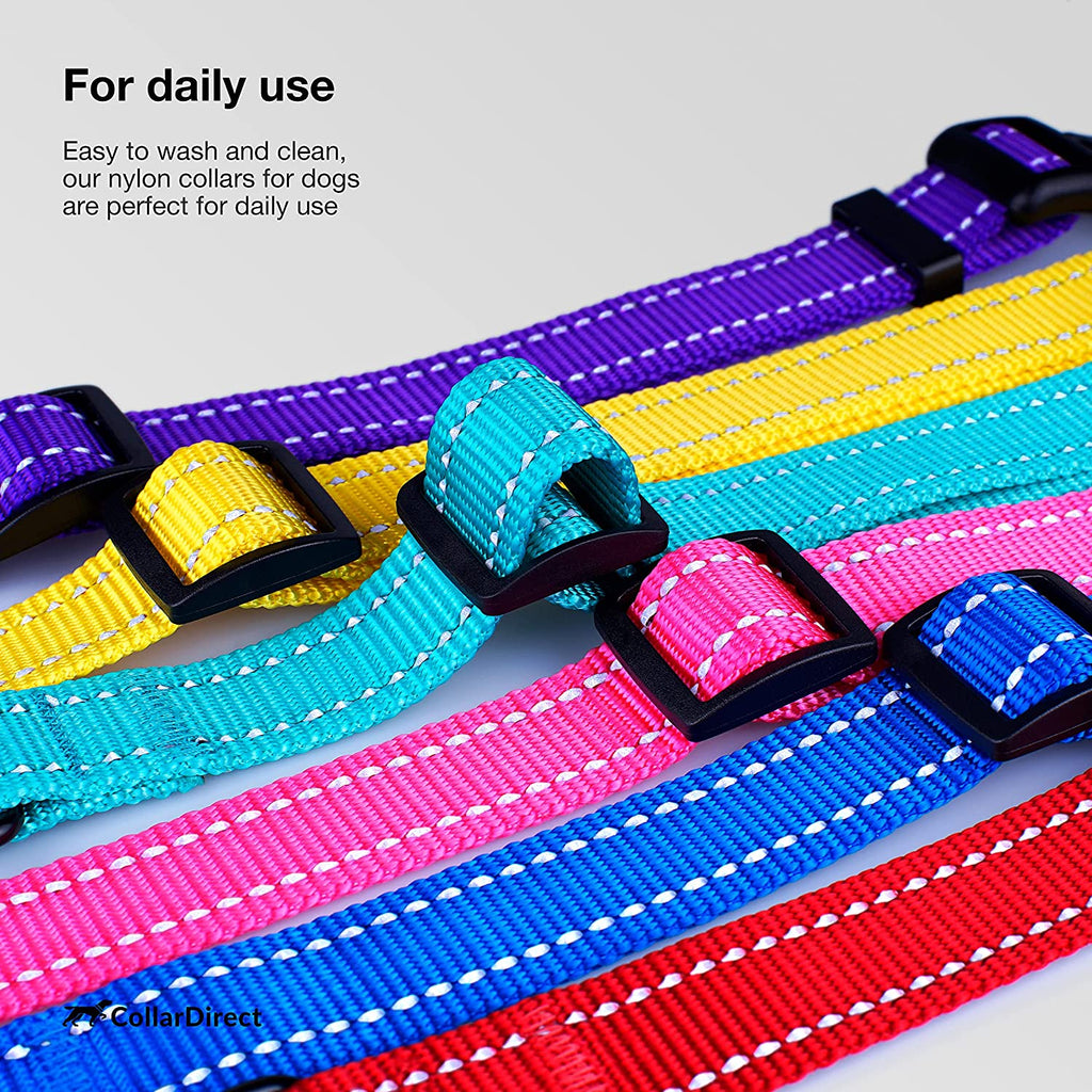 Reflective Dog Collar, Quick-Release Buckle (Orange, 10-13 Inch)