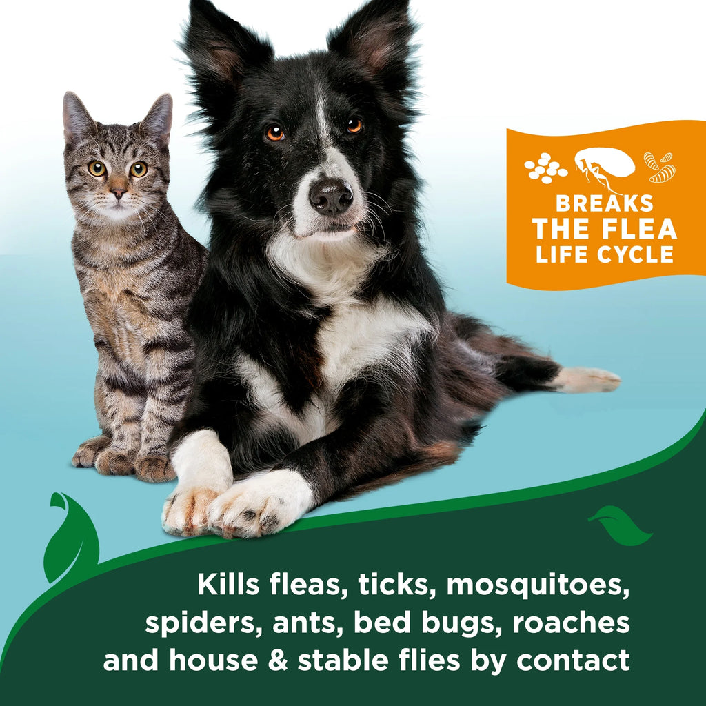 Flea & Tick Shampoo for Dogs – Peppermint Scent - 12Oz
