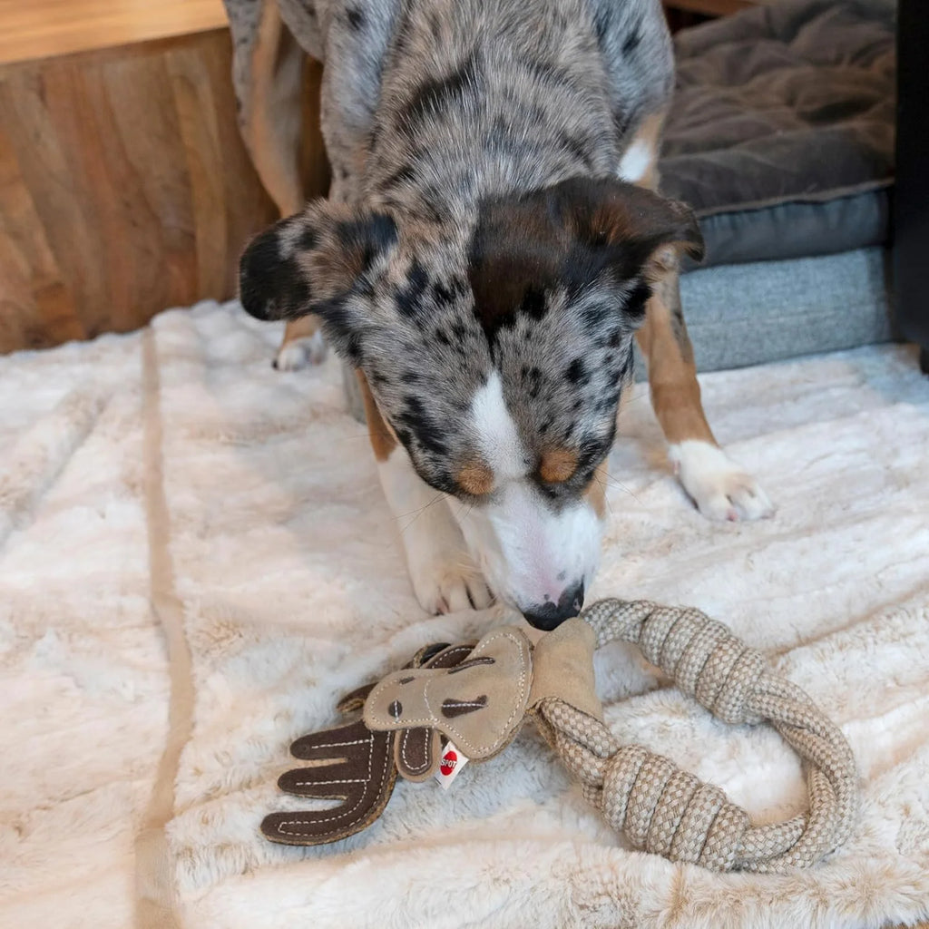 Dura-Fused Leather Animal Rings Dog Rope Toy, Great Dog Ring Toy for Tugging and Chewing, 11In, Assorted Styles, 1 Piece.