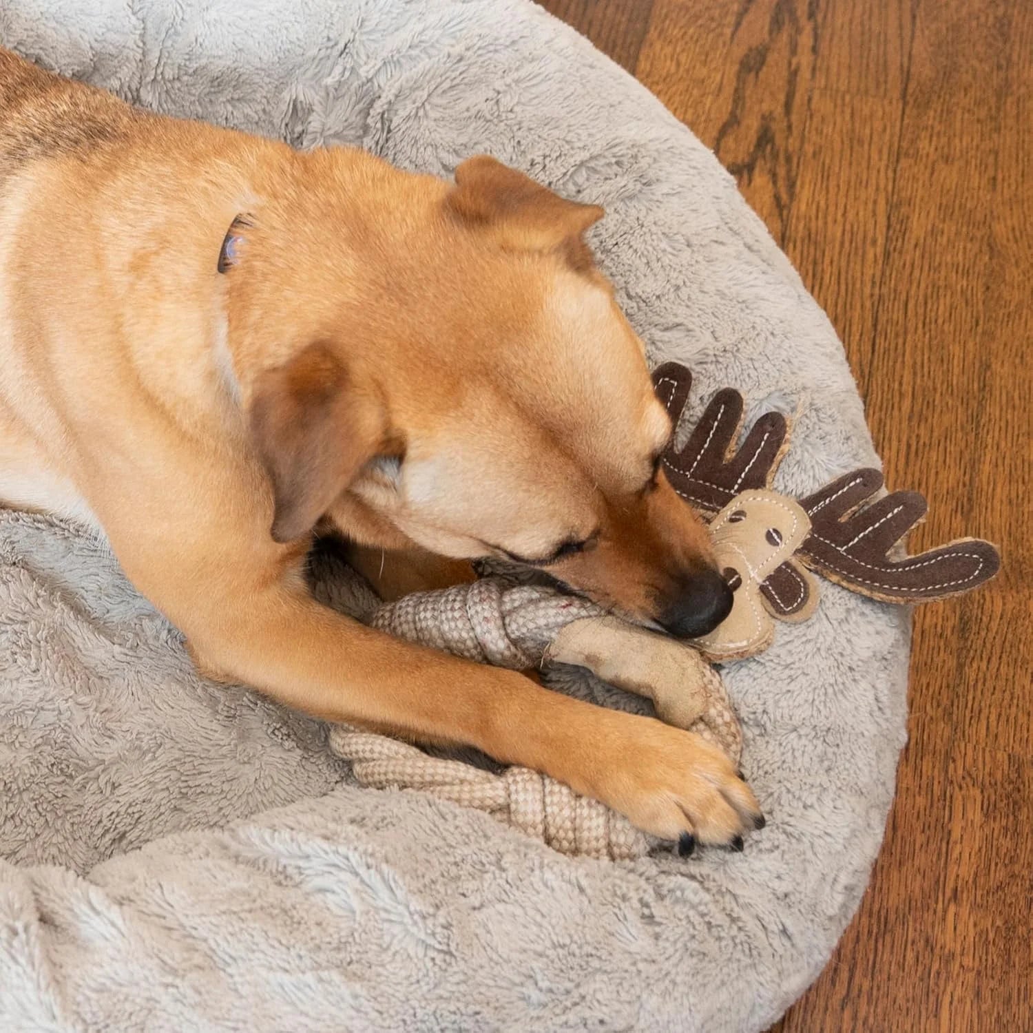 Dura-Fused Leather Animal Rings Dog Rope Toy, Great Dog Ring Toy for Tugging and Chewing, 11In, Assorted Styles, 1 Piece.