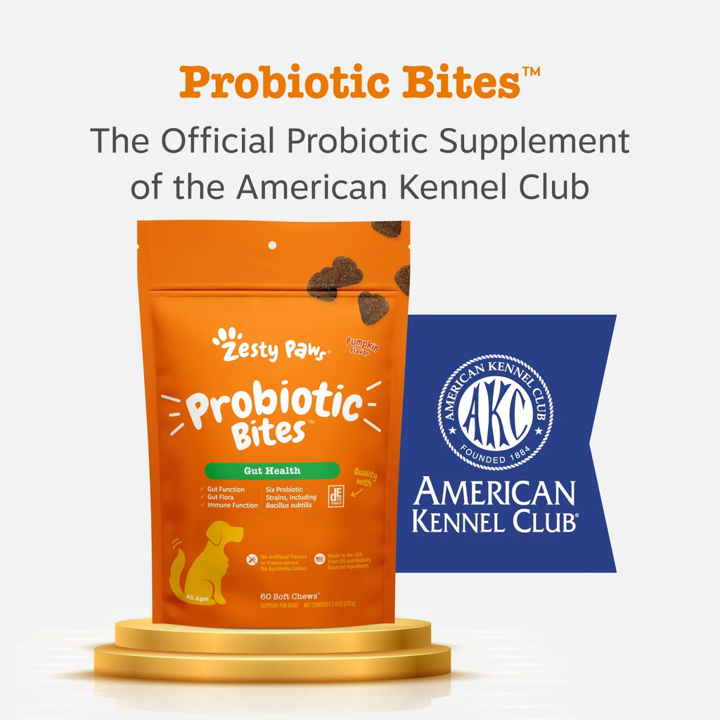 (3 Pack)  Probiotic Bites for Dogs, Pumpkin Flavor, 60 Count