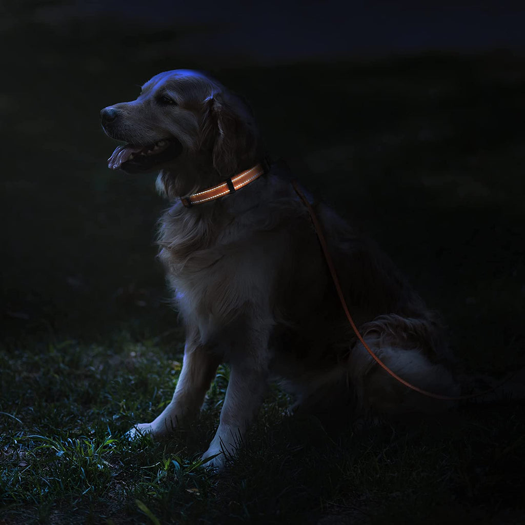 Reflective Dog Collar, Quick-Release Buckle (Orange, 10-13 Inch)