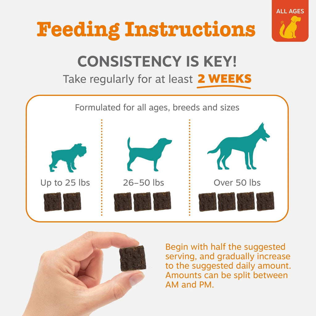Lil' Zesties™ Calming Squares™ Chewables for Dogs
