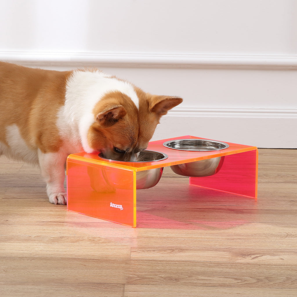 Keaton 5" Small/Medium Modern Acrylic Rectangular Elevated Pet Feeder with 20Oz 2-Stainless Steel Bowls, Pink/Chrome, DBL2000E