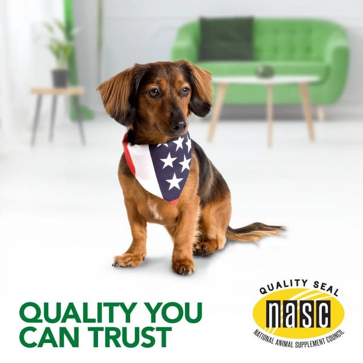 Best Healthy Coat Shed and Itch Relief Supplements for Dogs - 50 Chewable Tablets - 4.5 Oz.