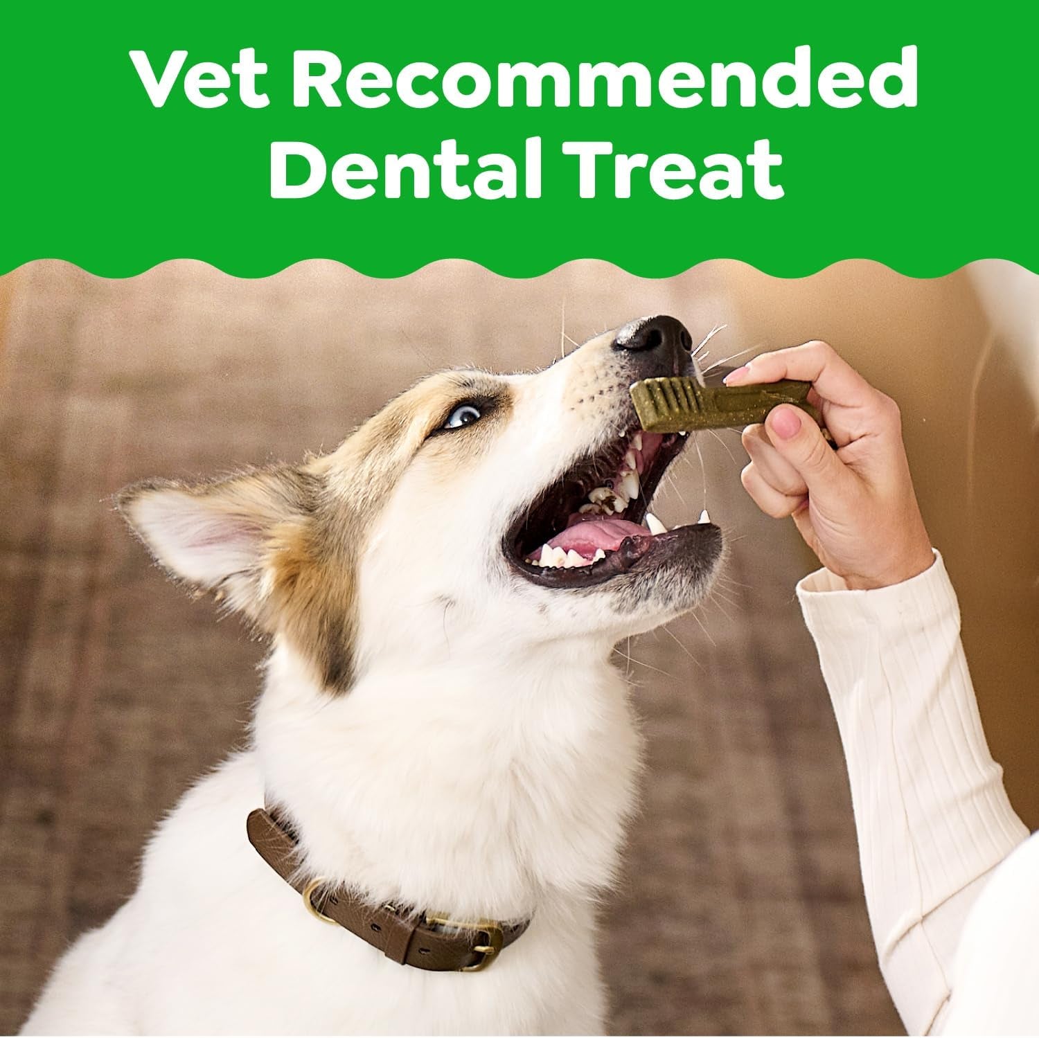 Veterinarian-Recommended Adult Natural Dental Dog Treats Petite Size, Dog Dental Chews, Original Flavor, 36 Oz. Pack, 60 Count