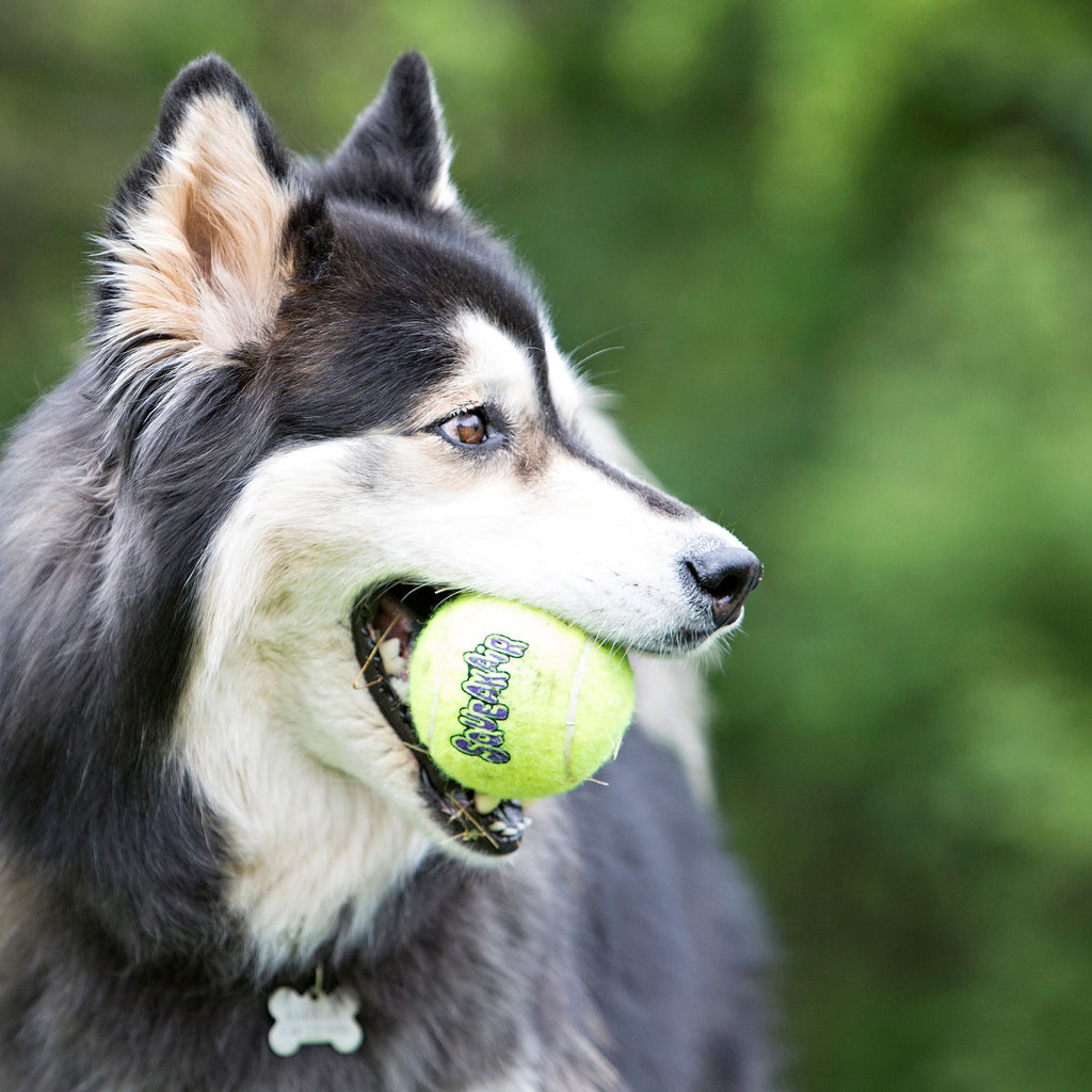 ® Squeakair Tennis Balls Fetch Dog Toy with Squeaker, Small, 3 Count
