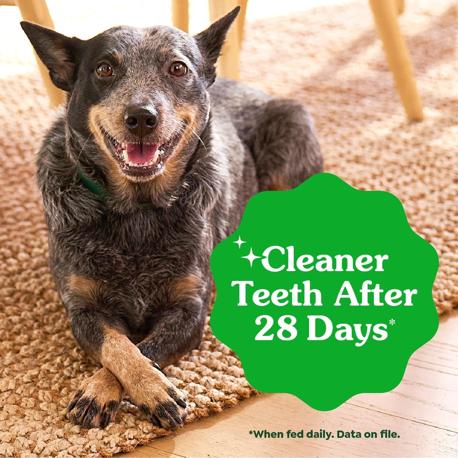 Veterinarian-Recommended Adult Natural Dental Dog Treats Petite Size, Dog Dental Chews, Original Flavor, 36 Oz. Pack, 60 Count