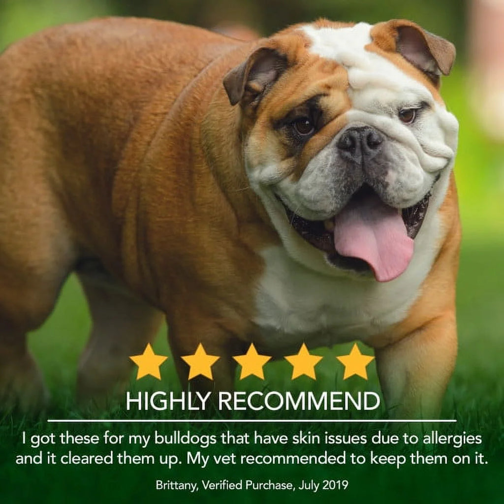 Best Healthy Coat Shed and Itch Relief Supplements for Dogs - 50 Chewable Tablets - 4.5 Oz.