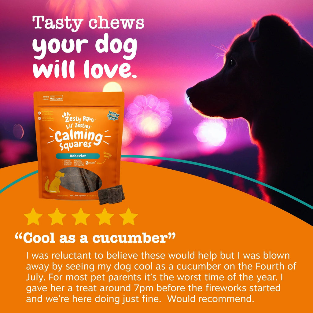 Lil' Zesties™ Calming Squares™ Chewables for Dogs