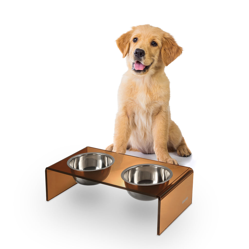 Keaton 5" Small/Medium Modern Acrylic Rectangular Elevated Pet Feeder with 20Oz 2-Stainless Steel Bowls, Amber/Chrome, DBL2000D