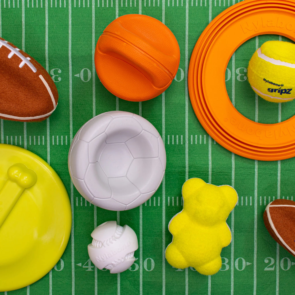 Power Play Basketball Gripz Dog Toy, Dog Balls, Squeaky Toy for Dogs, Medium
