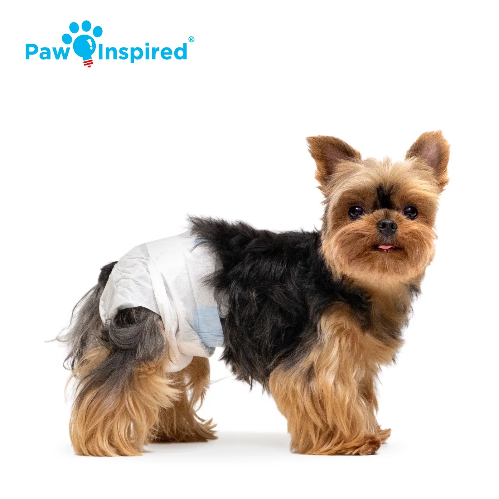 Disposable Dog Diapers Female| Puppy, Doggie, Cat, Pet Diapers |Diapers for Dogs in Heat Period, Diapers That Stay On, Senior, Excitable Urination, or Incontinence (Small, 32 Count)