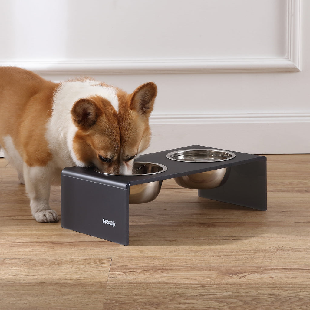 Keaton 5" Small/Medium Modern Acrylic Rectangular Elevated Pet Feeder with 20Oz 2-Stainless Steel Bowls, Dark Gray/Chrome, DBL2000J