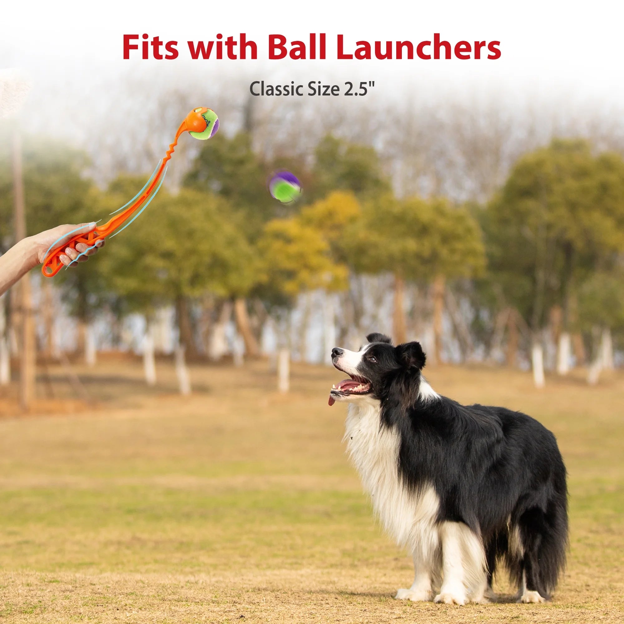 Tennis Balls for Dogs, Squeaky Dog Tennis Balls for Exercise, High Bouncy Pet Ball Bright Colors 2.5 Inches, Interactive Funny Dog Toys for All Breeds of Dogs Indoor & Outdoor Games, 5 Pack