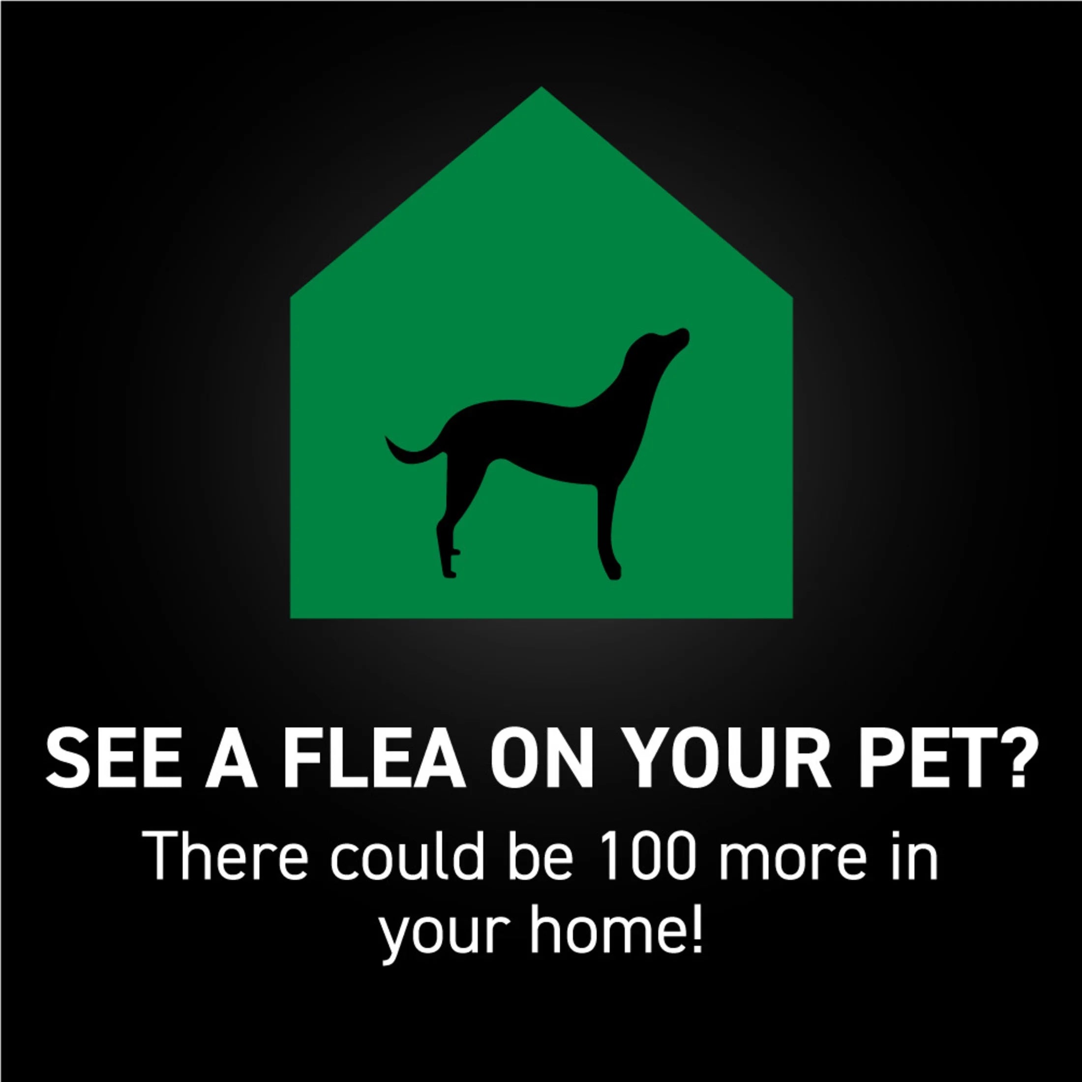 (2 Pack)  Flea & Tick Topical Prevention for Dogs 45-88 Lbs, 3-Month Supply