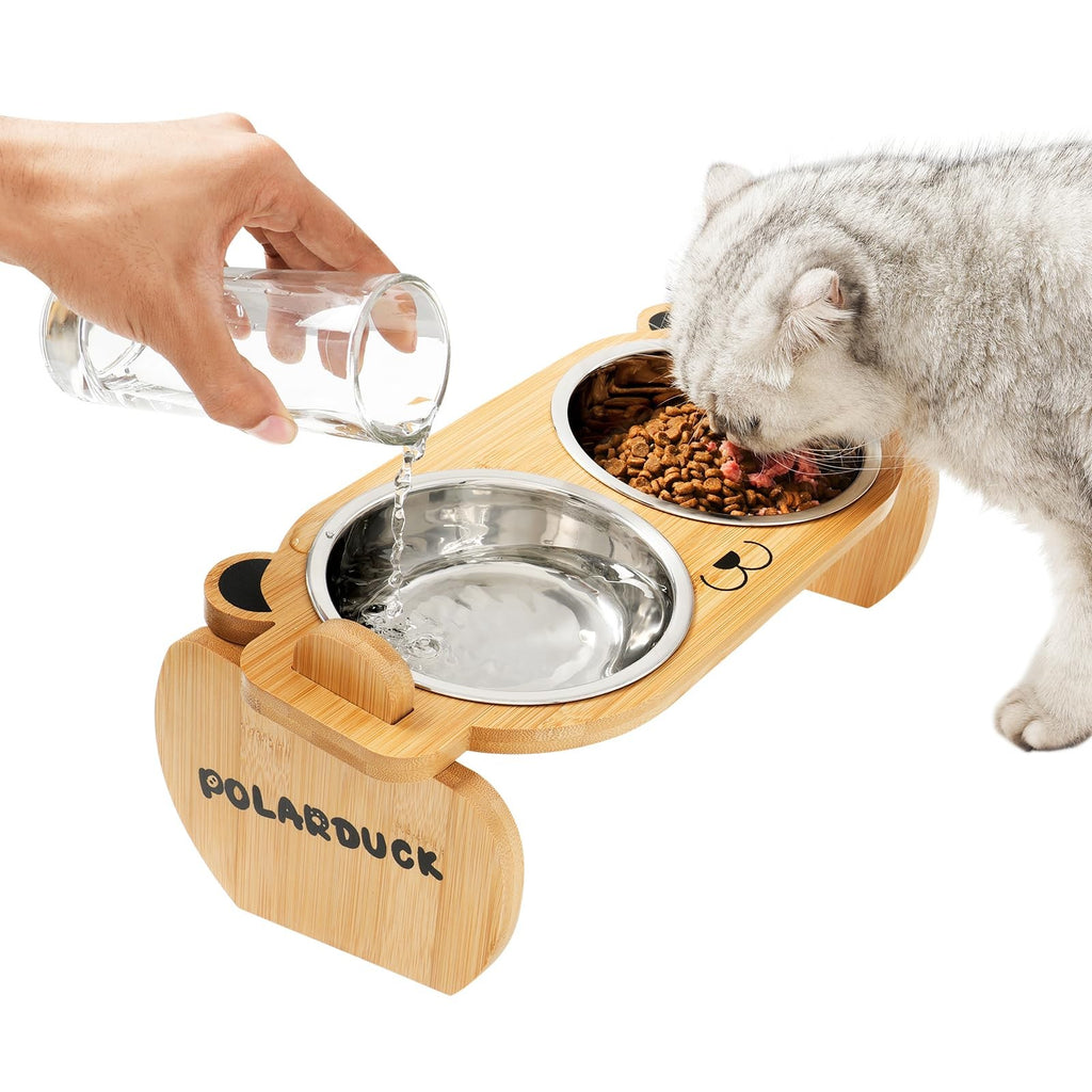 Tilted Elevated Cat Food Bowls Set: Raised Pet Dishes for Cats & Puppy