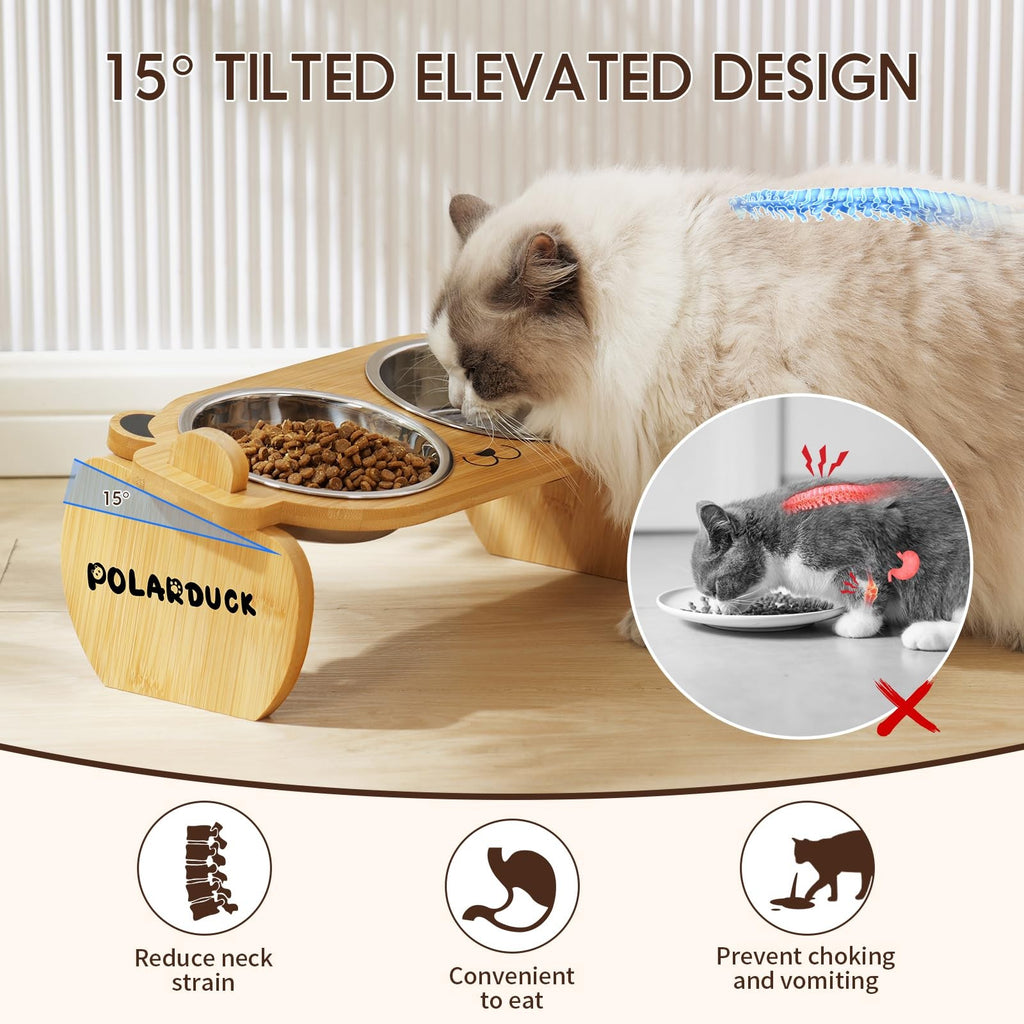 Tilted Elevated Cat Food Bowls Set: Raised Pet Dishes for Cats & Puppy