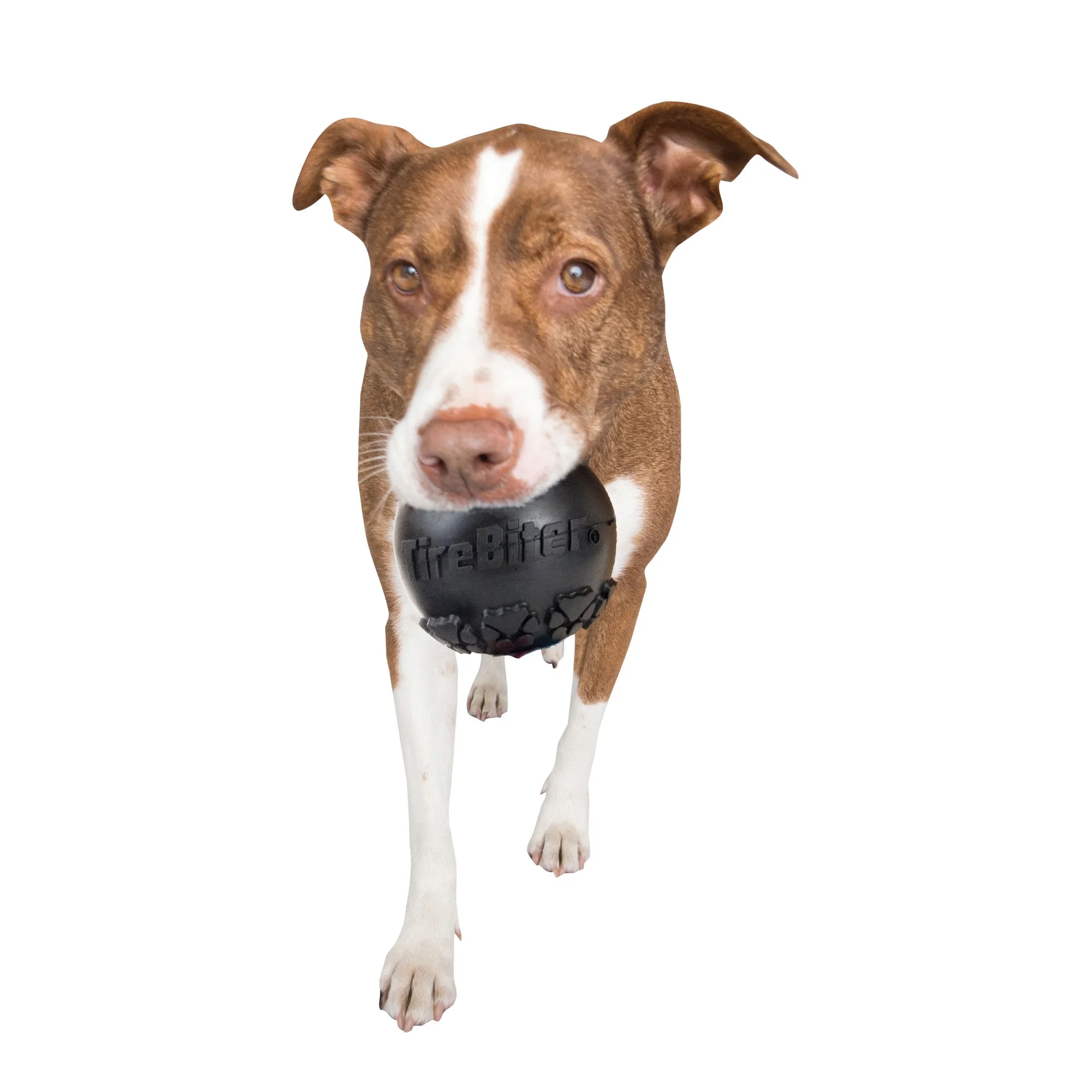 Tirebiter Advanced Ball Rubber Dog Toy W/Treat Station Medium 3"