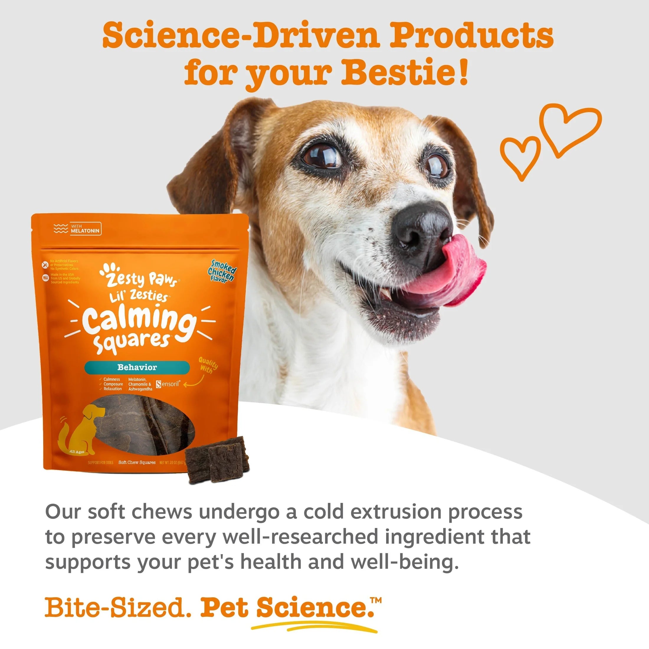 Lil' Zesties™ Calming Squares™ Chewables for Dogs