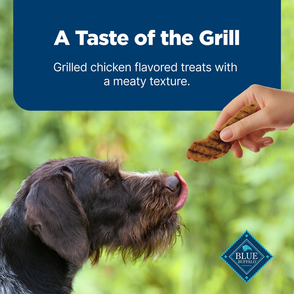 Nudges Grillers Natural Dog Treats Made with Real Chicken, 16-Oz. Bag