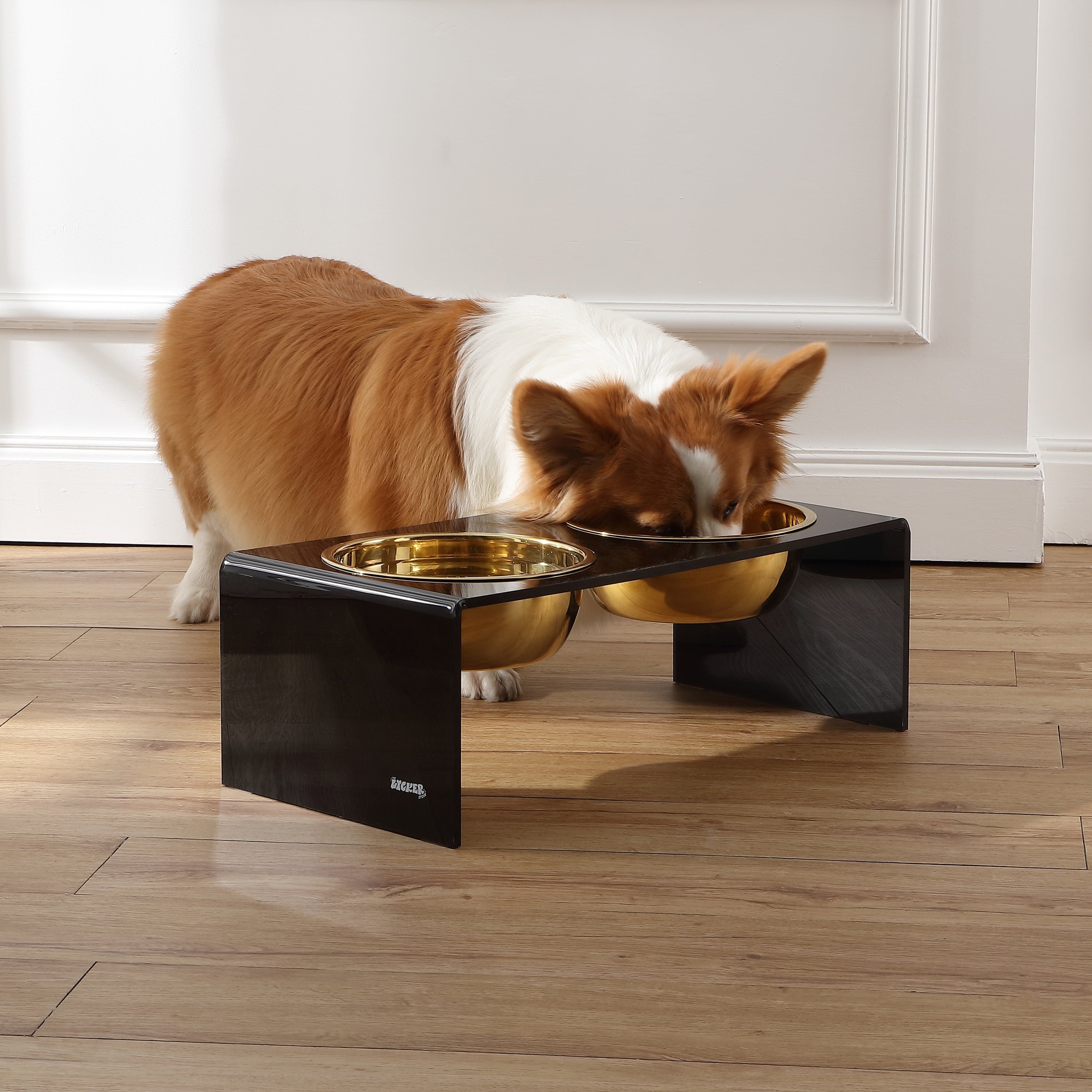Keaton 7.5" Medium/Large Modern Acrylic Rectangular Elevated Pet Feeder with 54Oz 2-Stainless Steel Bowls, Black/Gold, DBL2001B