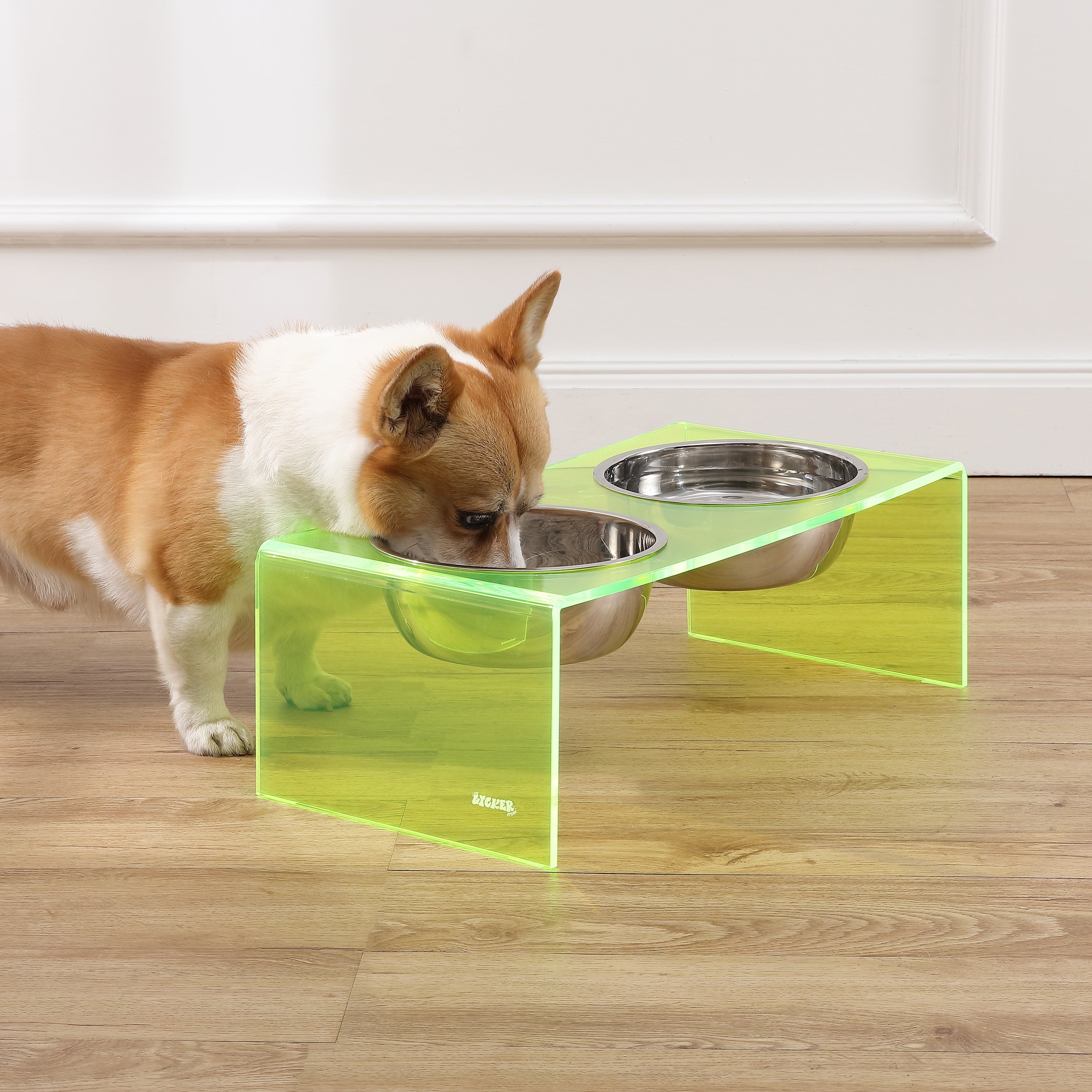 Keaton 7.5" Medium/Large Modern Acrylic Rectangular Elevated Pet Feeder with 54Oz 2-Stainless Steel Bowls, Green/Chrome, DBL2001G