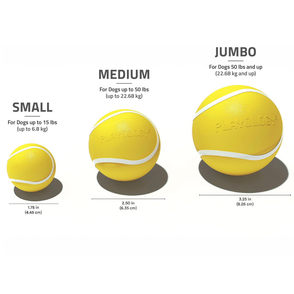 Dog Toys | Squeaky Chew Ball, Chicken Scented Toy - Jumbo