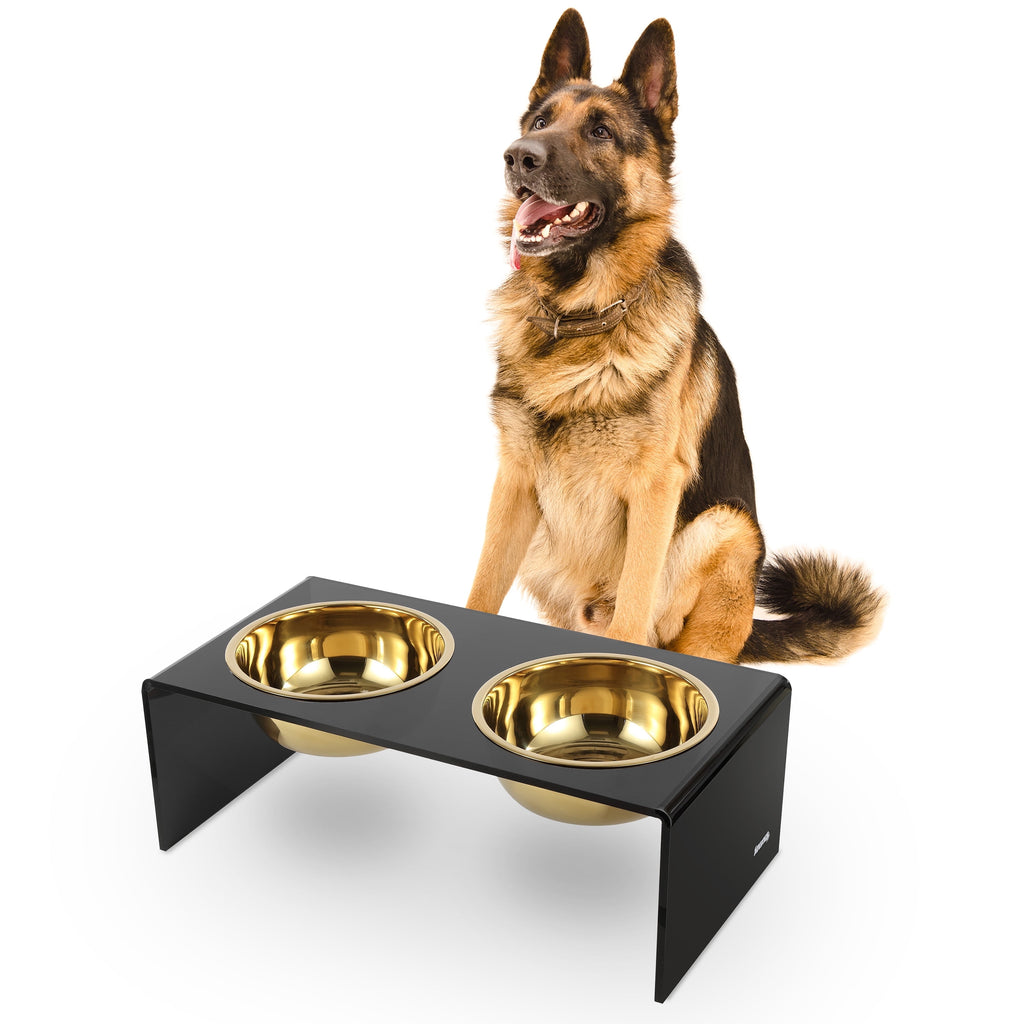 Keaton 7.5" Medium/Large Modern Acrylic Rectangular Elevated Pet Feeder with 54Oz 2-Stainless Steel Bowls, Black/Gold, DBL2001B