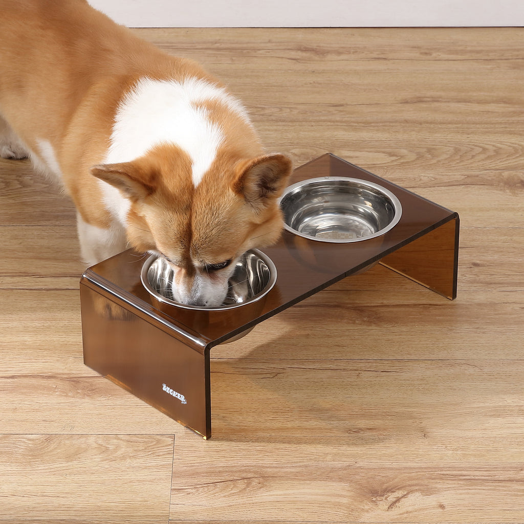 Keaton 5" Small/Medium Modern Acrylic Rectangular Elevated Pet Feeder with 20Oz 2-Stainless Steel Bowls, Amber/Chrome, DBL2000D