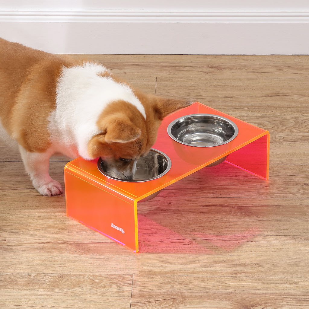 Keaton 5" Small/Medium Modern Acrylic Rectangular Elevated Pet Feeder with 20Oz 2-Stainless Steel Bowls, Pink/Chrome, DBL2000E