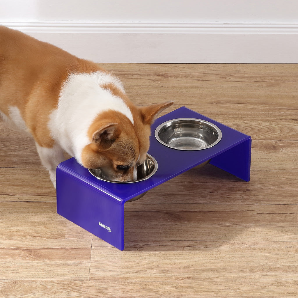 Keaton 5" Small/Medium Modern Acrylic Rectangular Elevated Pet Feeder with 20Oz 2-Stainless Steel Bowls, Purple/Chrome, DBL2000F