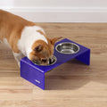 Keaton 5" Small/Medium Modern Acrylic Rectangular Elevated Pet Feeder with 20Oz 2-Stainless Steel Bowls, Purple/Chrome, DBL2000F