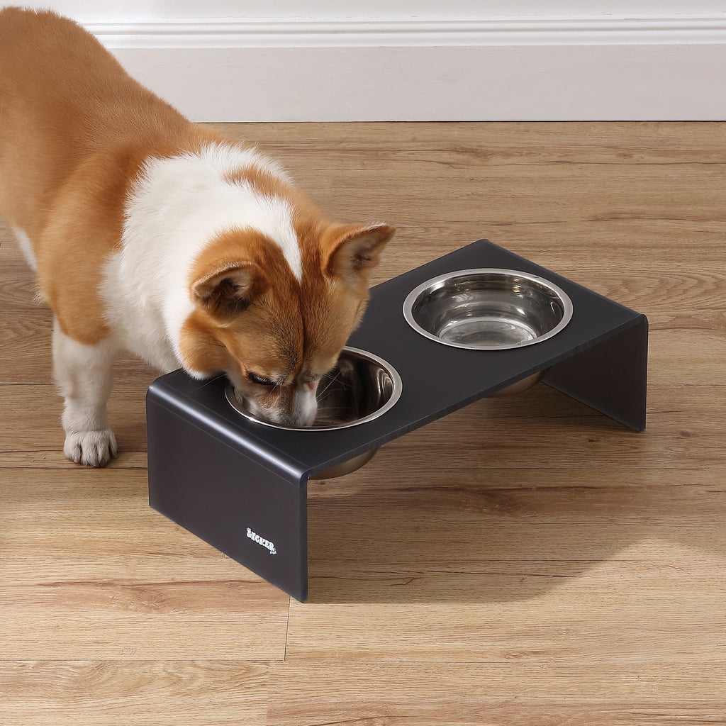 Keaton 5" Small/Medium Modern Acrylic Rectangular Elevated Pet Feeder with 20Oz 2-Stainless Steel Bowls, Dark Gray/Chrome, DBL2000J