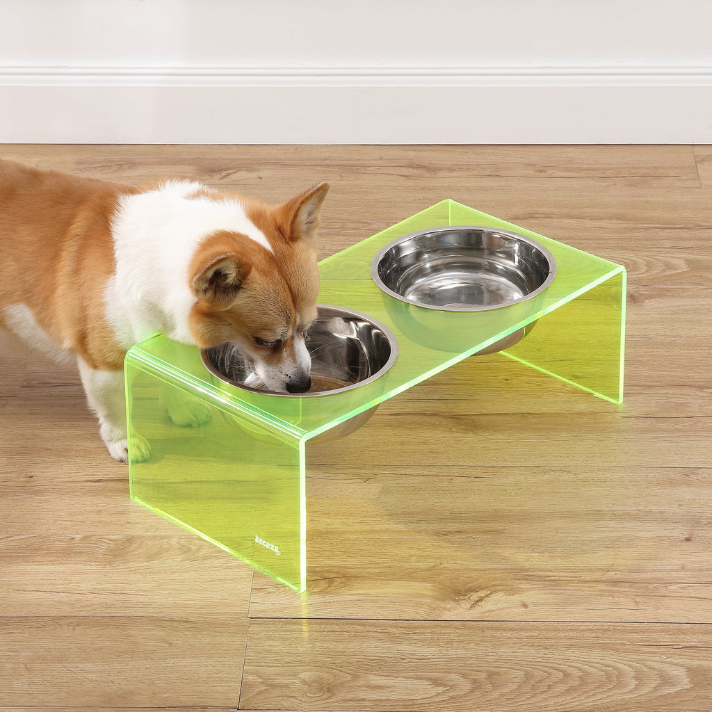Keaton 7.5" Medium/Large Modern Acrylic Rectangular Elevated Pet Feeder with 54Oz 2-Stainless Steel Bowls, Green/Chrome, DBL2001G