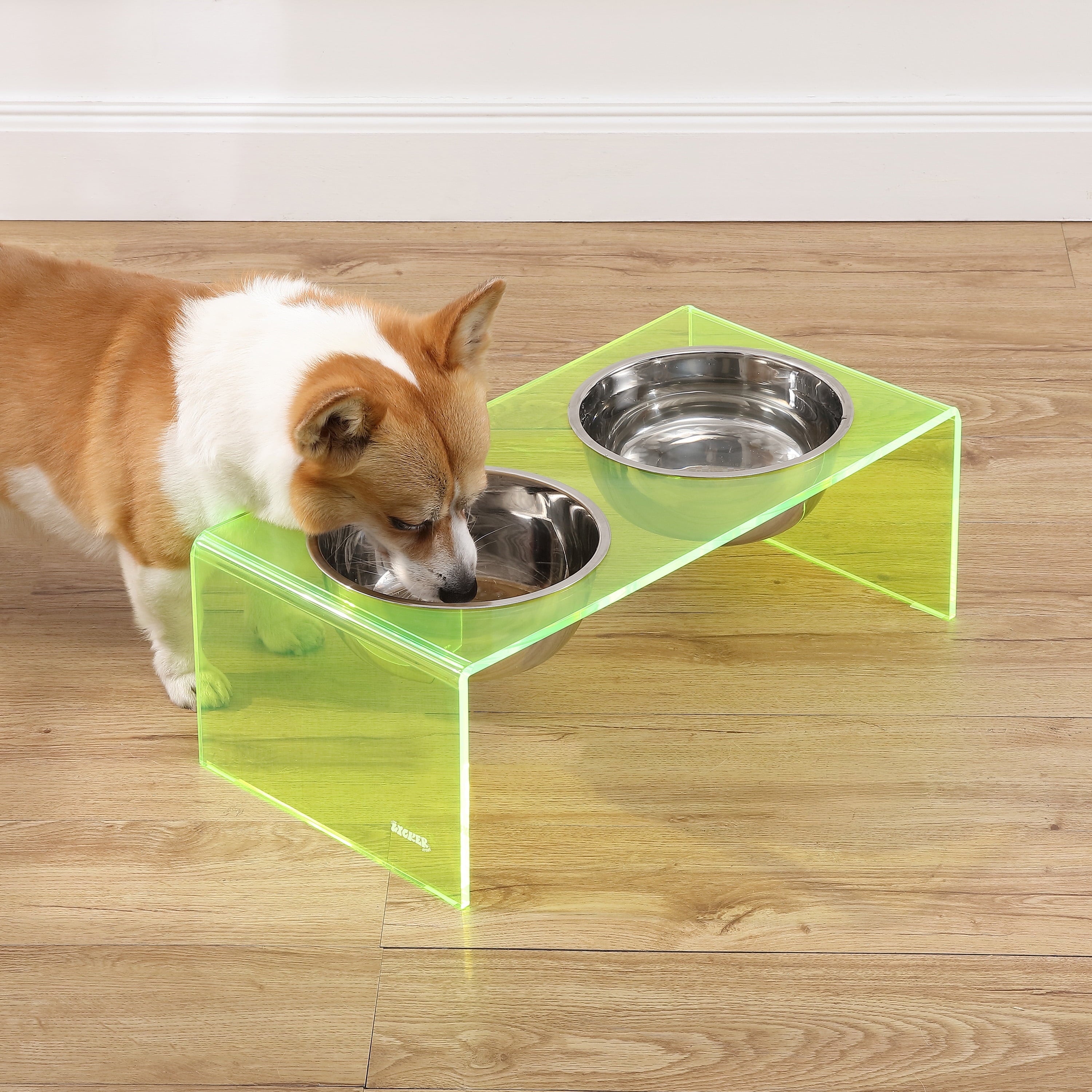 Keaton 7.5" Medium/Large Modern Acrylic Rectangular Elevated Pet Feeder with 54Oz 2-Stainless Steel Bowls, Green/Chrome, DBL2001G