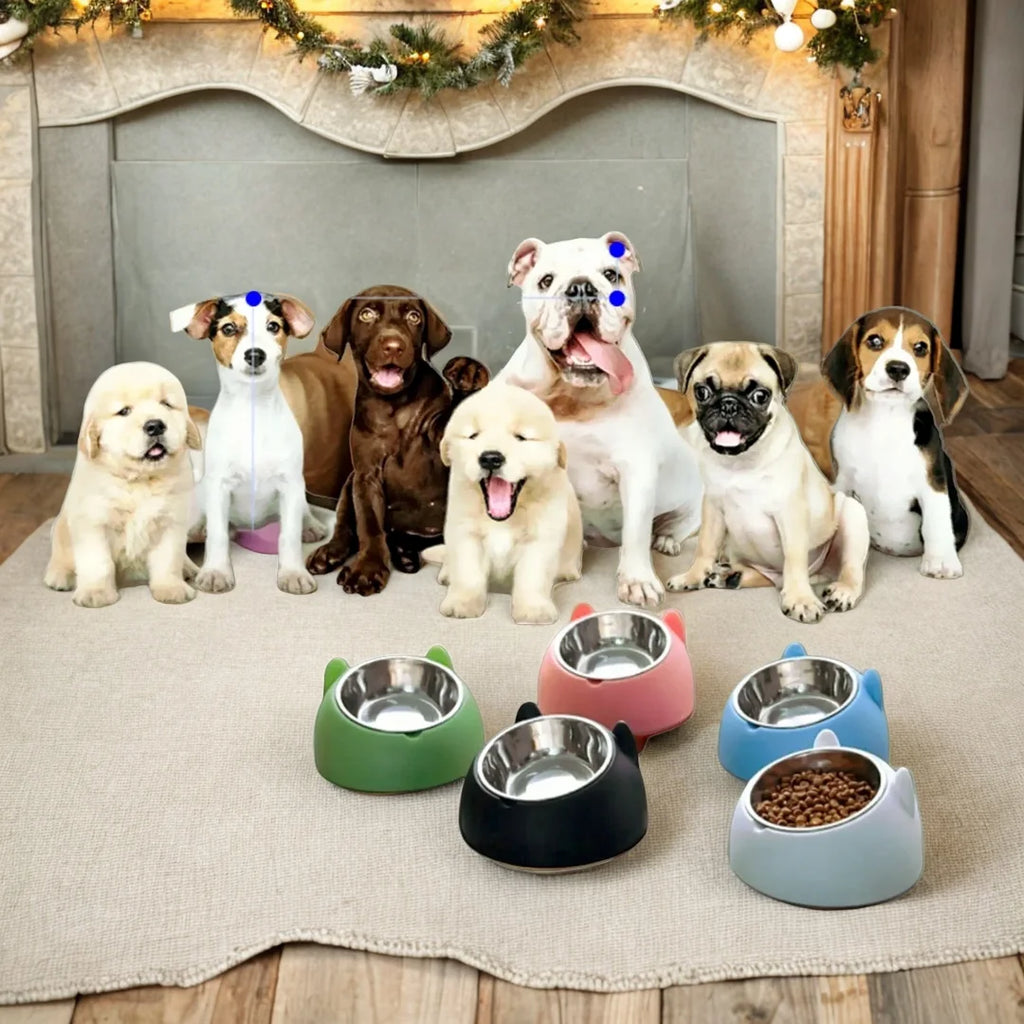 Pet Food Water Bowls Tilted Elevated Raised Cat Bowls Cat Feeder Dishes Protect Cats, Small Dogs Indoor Green
