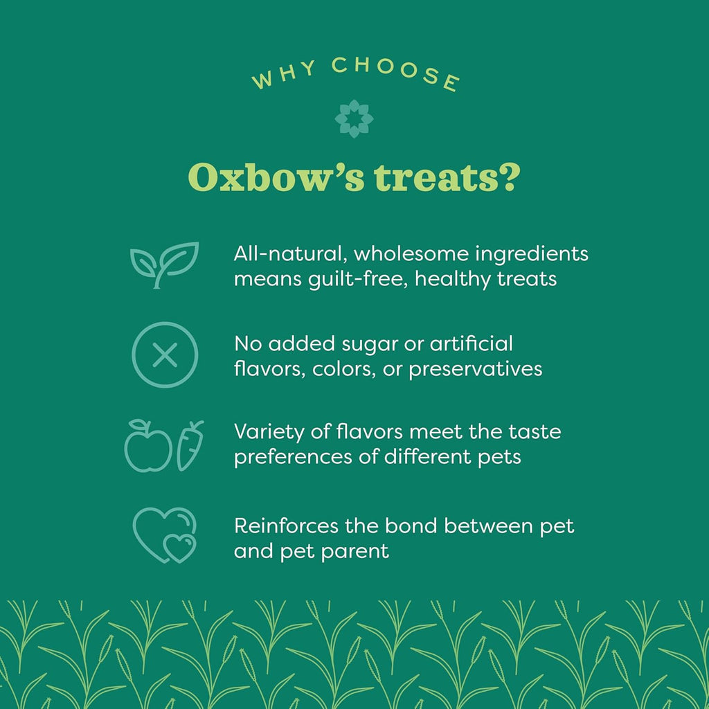 Organic Barley Biscuits, Rabbit & Guinea Pig Treats, Organic Hamster & Bunny Treats with Barley, Apple & Carrot, Made in USA, Small Pet Supplies, 2.65 Oz Bag