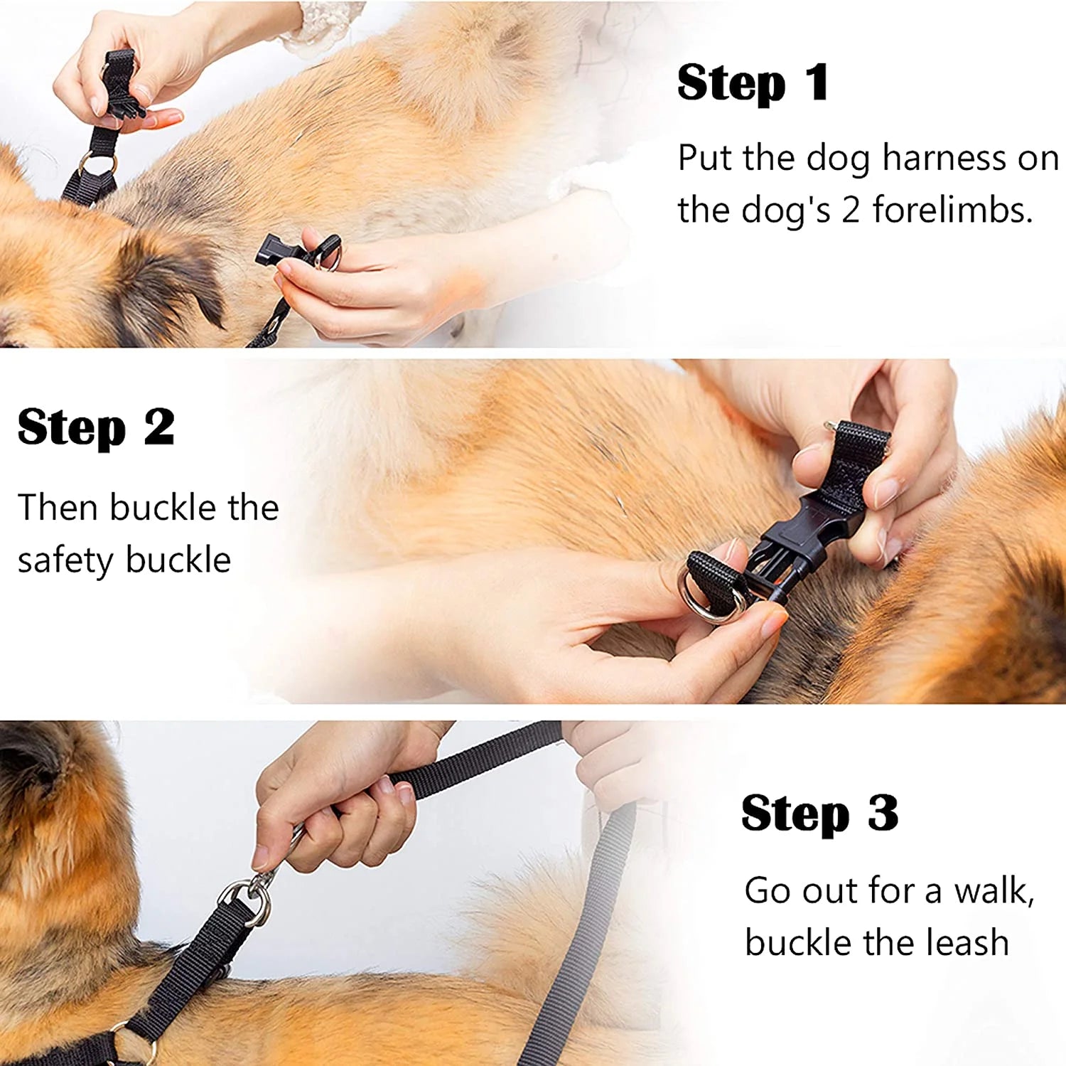 Dog Harness and Leash Set with Collar - Step in No Pull Dog Harness