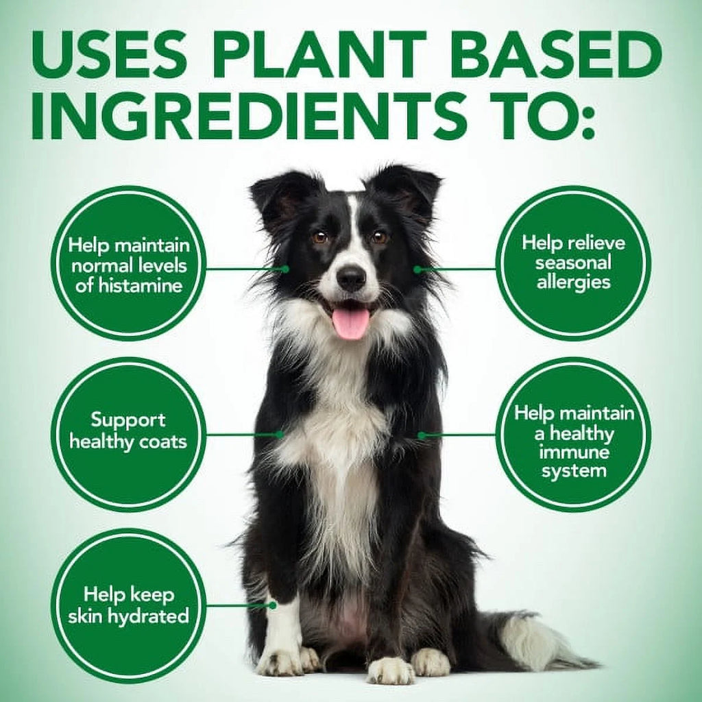 Best Healthy Coat Shed and Itch Relief Supplements for Dogs - 50 Chewable Tablets - 4.5 Oz.