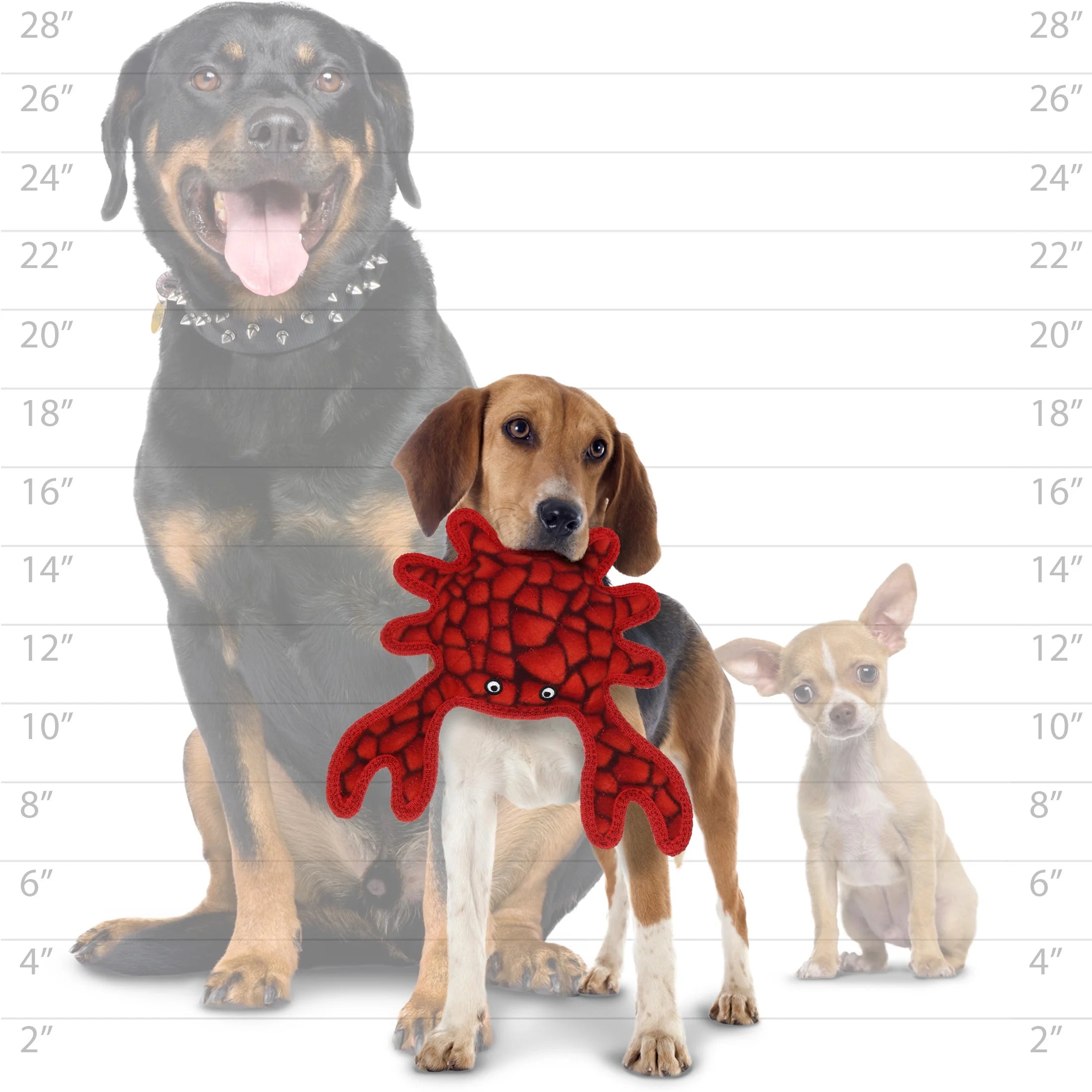 (2 Pack) Tuffy Medium Crab Red Durable Plush Dog Toy